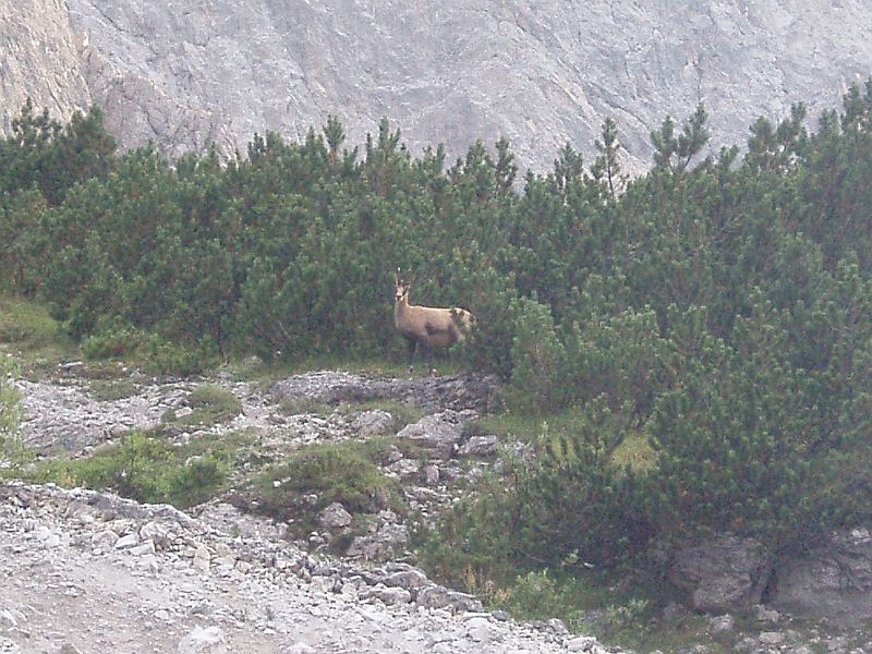 pusteria2005_055.jpg