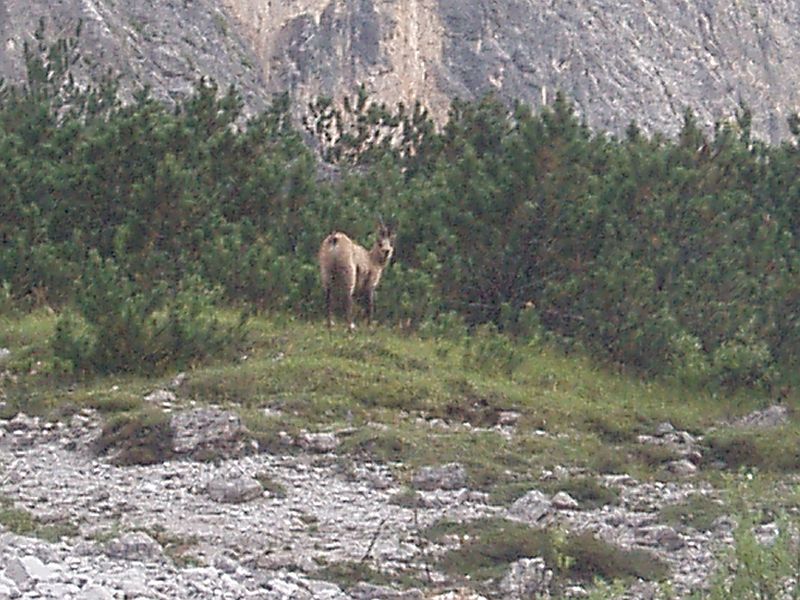 pusteria2005_056.jpg