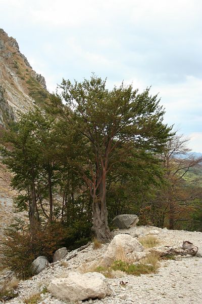 09_gransasso27.jpg