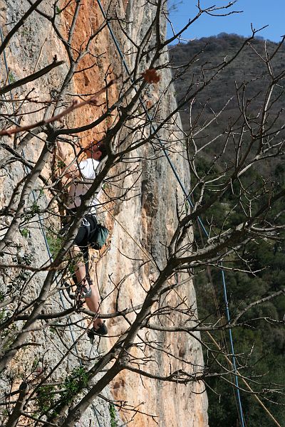 07_bassiano16.jpg