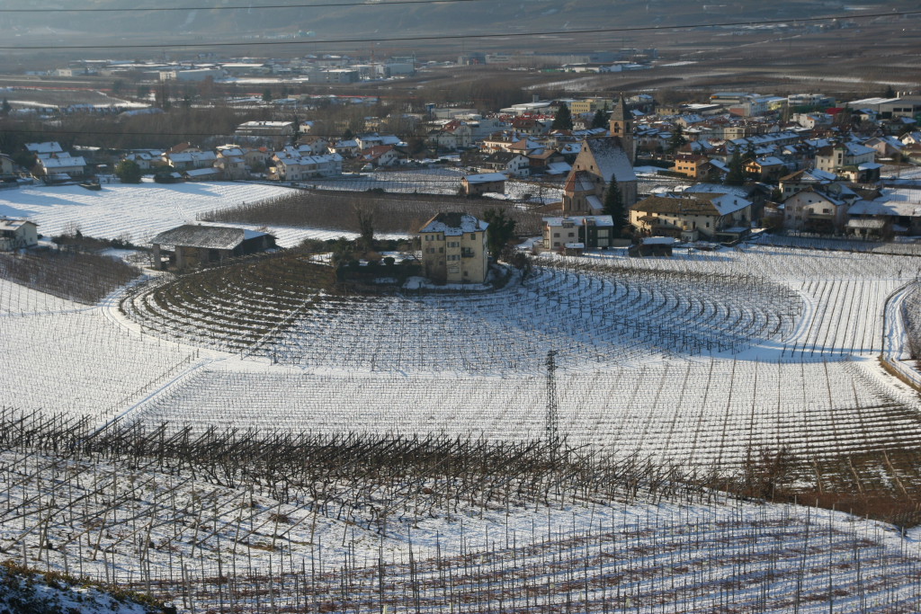 badia_38.jpg - Vigneti a Montagna (BZ).