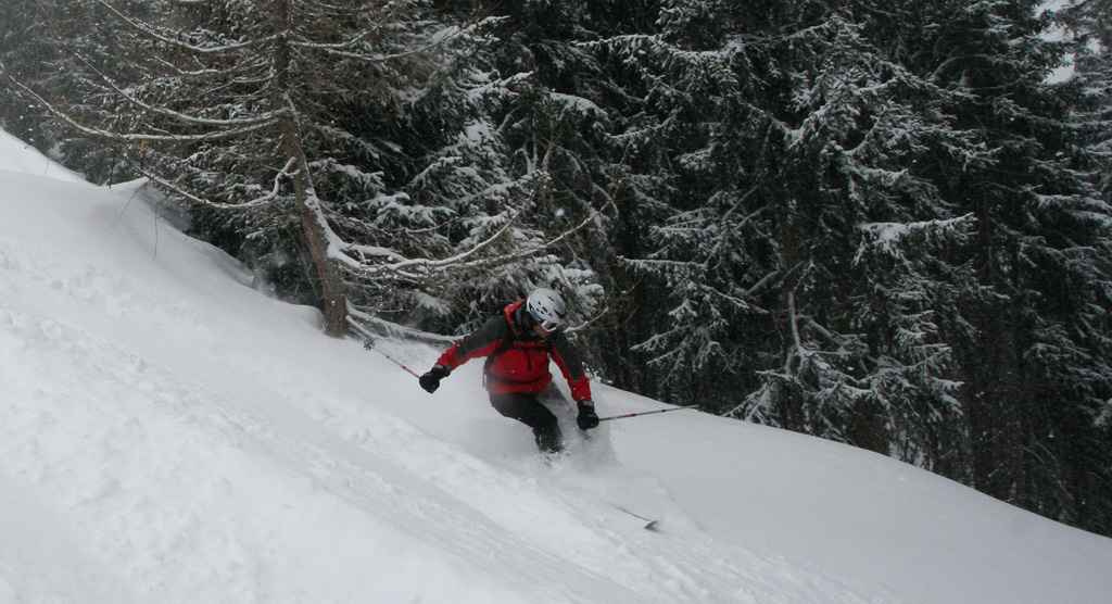 zingarotour099.jpg - Nei boschetti di Verbier, al pomeriggio.